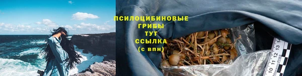 стафф Заводоуковск
