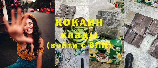 стафф Заводоуковск