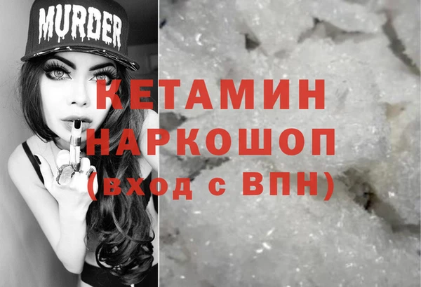 стафф Заводоуковск