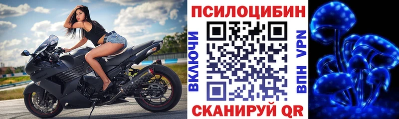 Псилоцибиновые грибы GOLDEN TEACHER  Купить закладки  Лабинск 
